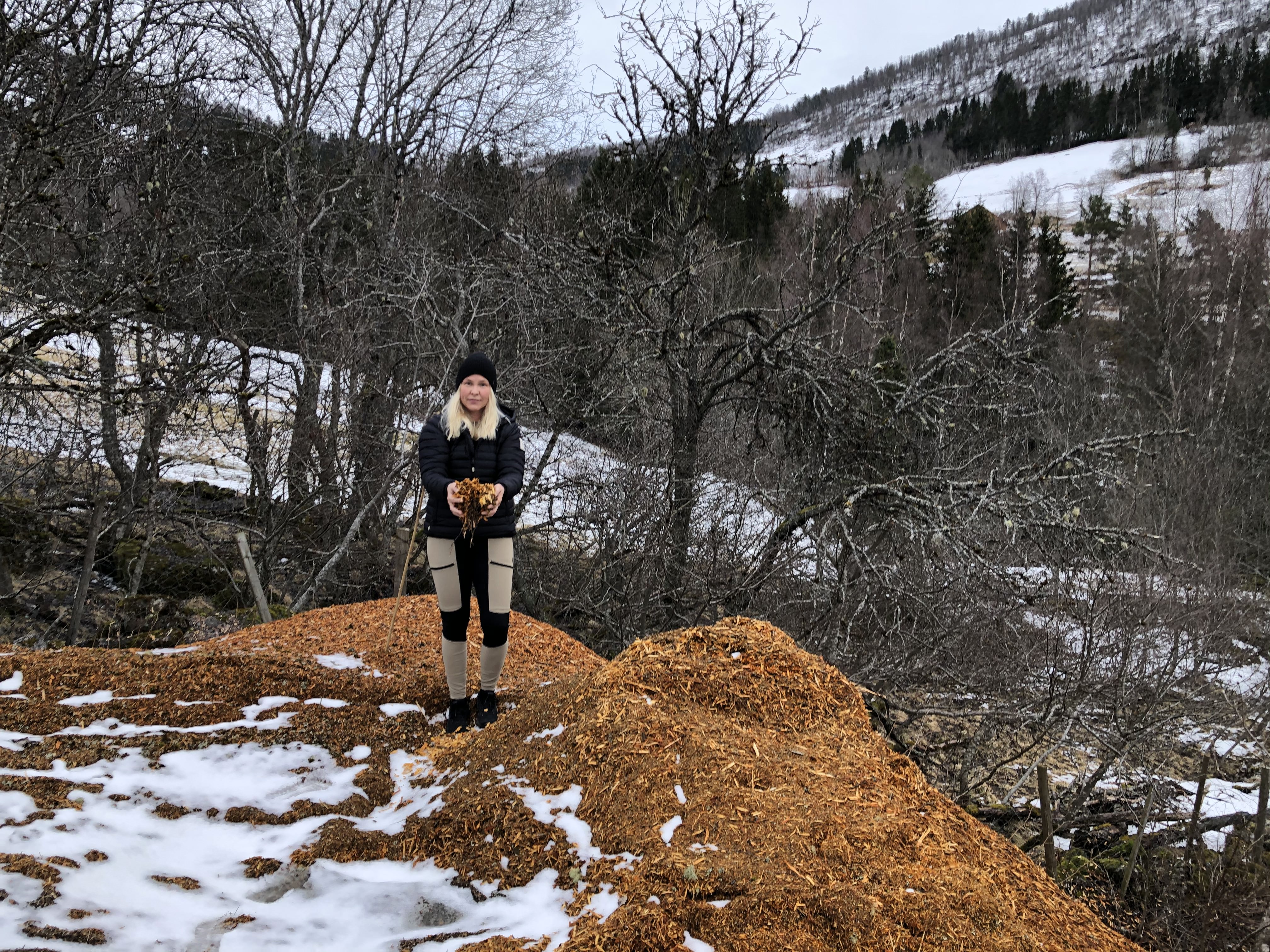 Haugar med treflis og kvinne som viser fram treflis