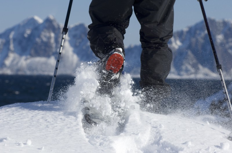 ski