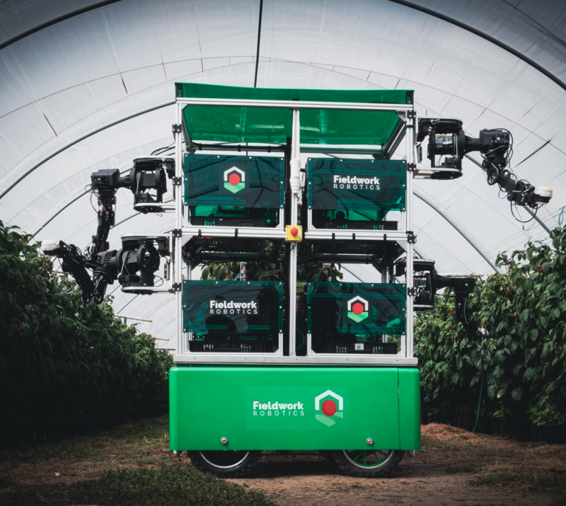 grøn robot i dyrkingstunnel, haustar frukt eller bær med armar