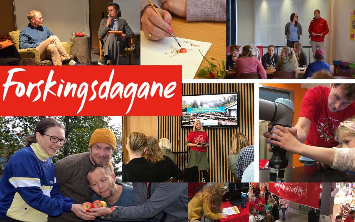 Collage bilder av diverse aktiviteter under Forskingsdagane.