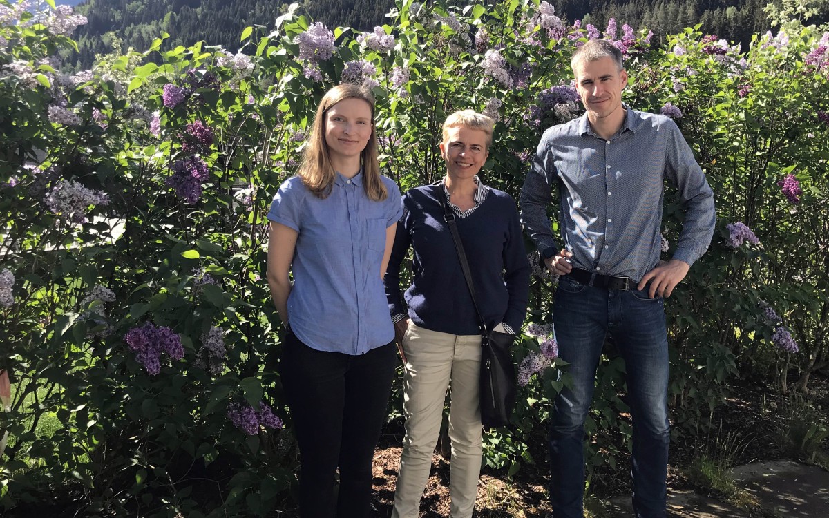 Moberg, Linnerud og Walnum