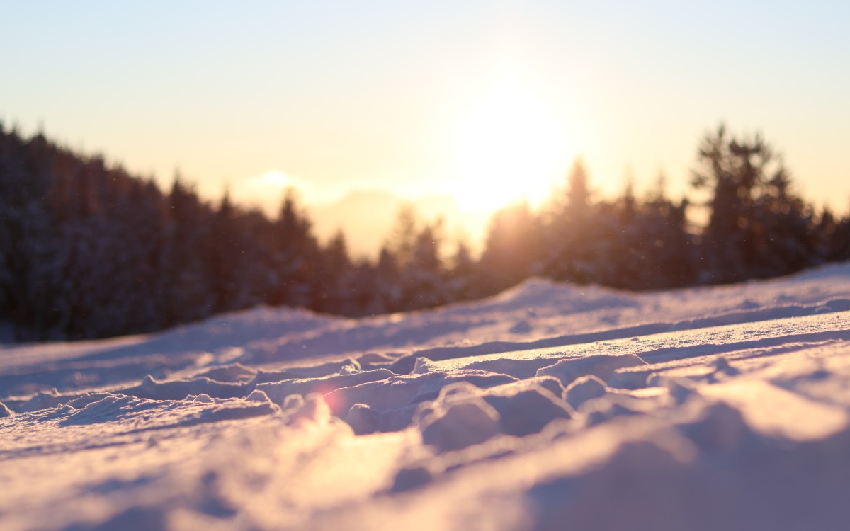 Snø i solnedgang, tre bakom