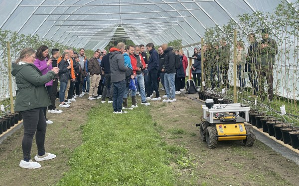 Robot i tunnel, bringebærplanter i bakgrunnen og publikum som ser på og tek bilete.