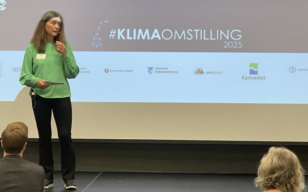 Direktør Anne Karin Hamre opnar konferanse