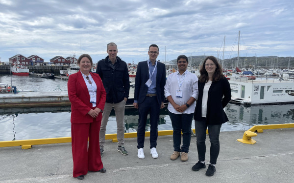 Redaktørar for fagbok i Bodø