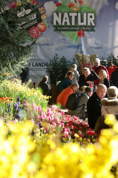 Foto frå blomehallen på Grüne Woche 2020