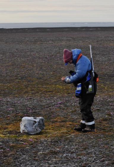 Alexandra på Svalbard, fotograferer stein