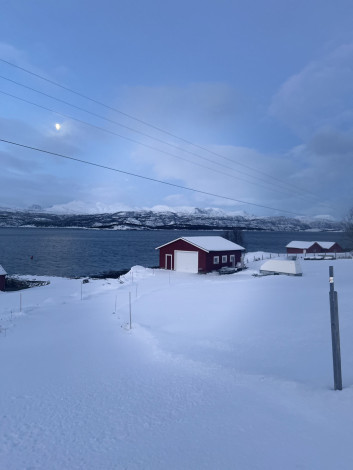 Kvænangen i blått lys