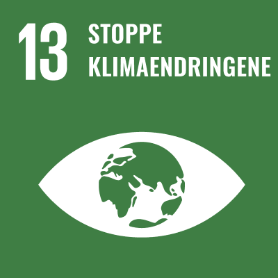 13 Stoppe klimaendringane